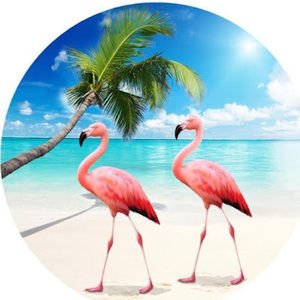 Meet your Posher, Rylee